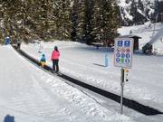 Transportband Thaneller