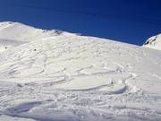 Freeridegebieden op de Gemsstock