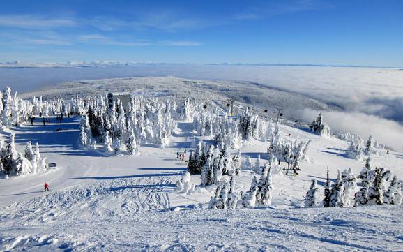 Beste skigebied in het regionaal district Thompson-Nicola – Beoordeling Sun Peaks