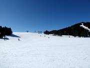 Lichte en brede piste Plateau