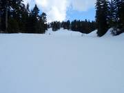 Afdaling Manning bij de Mystery Peak Express