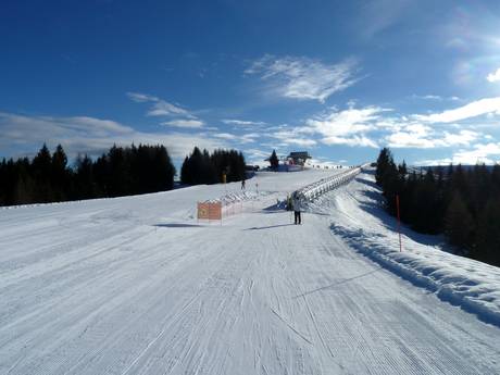 Skigebieden voor beginners in het geldigheidsgebied van Skirama Dolomiti – Beginners Folgaria/Fiorentini