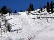 Freeride-gebied Kogelalm