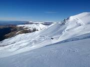 Moeilijke piste Platter Splatter