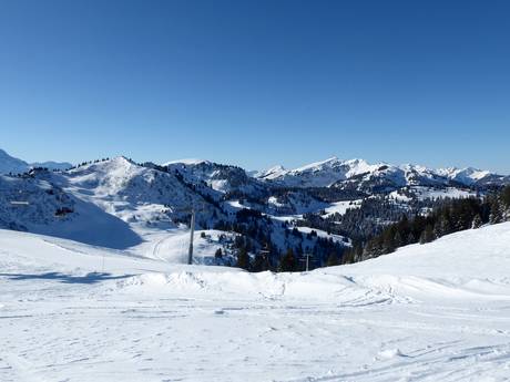 Magic Pass: Grootte van de skigebieden – Grootte Villars/Gryon/Les Diablerets