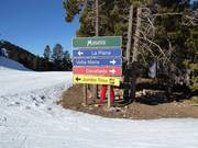 Pistebewegwijzering in Masella