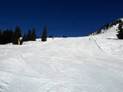 Neuhögen afdaling in Westendorf