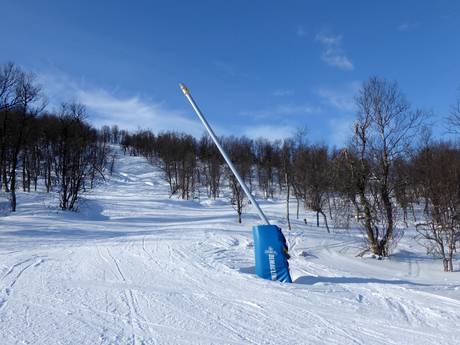 Sneeuwzekerheid Scandinavië – Sneeuwzekerheid Tänndalen