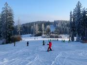 Gemakkelijke piste Dámská in Lipno