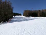 Dalafdaling/familieafdaling