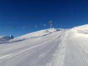 Afdaling Riedkopf "Direkte"