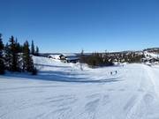 Gemakkelijke piste Bruløypa