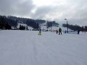 Gemakkelijke piste in het skigebied Krasnal in Szczyrk