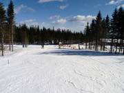 Beginnerspiste Nybegynnerbakken