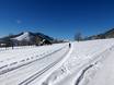 Langlaufen wereldwijd – Langlaufen Ramsau am Dachstein – Rittisberg
