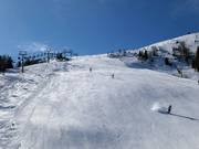 Moeilijke almafdaling