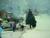 Verenigde Arabische Emiraten: Grootte van de skigebieden – Grootte Ski Dubai – Mall of the Emirates
