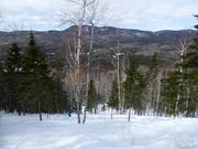 Uitgekapte bosafdaling Le Nid-d'Aigle