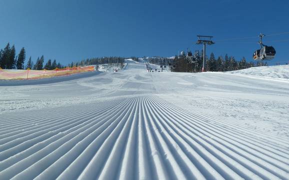 Pistepreparatie Zwieseler Winkel – Pistepreparatie Arber