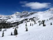 Pistes bij de stoeltjeslift Sugarloaf