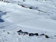 Skatingloipe Gamsgarten