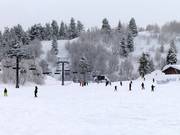 Makkelijke pistes bij de stoeltjeslift Littlecat