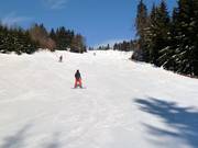 Piste 19: Neklid - Karásek I.