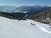 Afdaling Nesselwiese (Gitschberg)