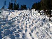 Buckelpiste bij de Harbachbahn