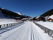 Loipe in Santa Caterina Valfurva