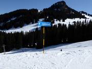 Wegwijzer naar Schönried