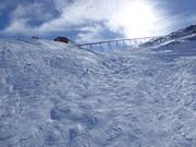 Vrij terrein onder de Olympiabahn