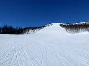 Moeilijke piste Ølkorken nr. 11 (Gullsteinhovda)