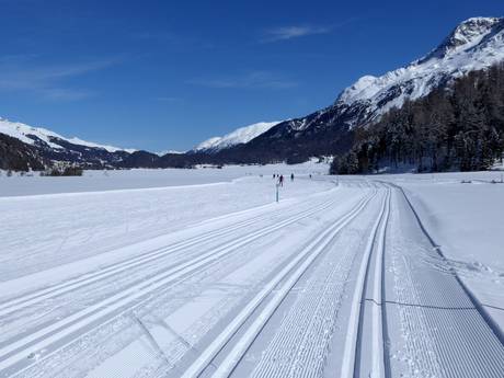 Langlaufen Engadin St. Moritz – Langlaufen Corvatsch/Furtschellas