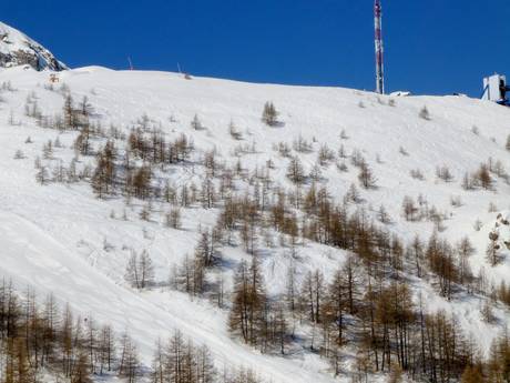 Skigebieden voor gevorderden en off-piste skiërs Maritieme Alpen – Gevorderden, off-piste skiërs Auron (Saint-Etienne-de-Tinée)
