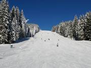 Zuidafdaling Rittisberg sleeplift