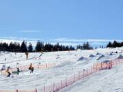 Tip voor de kleintjes 