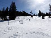 Dalafdaling Saanenmöser