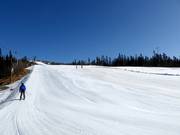 Gemakkelijke piste Nedre Bøseter nr. 29