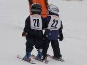 Op naar de Zwergerlrennen