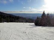 Makkelijke Hochwaldafdaling in het bovenste gedeelte
