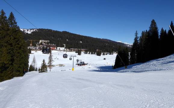 Skigebieden voor beginners in Madonna di Campiglio/Pinzolo/Val Rendena – Beginners Madonna di Campiglio/Pinzolo/Folgàrida/Marilleva
