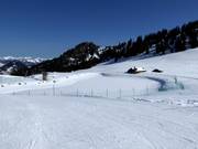 Opslagvijver bij de Hornberg