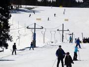 Camelback Platter - Pannenkoeklift