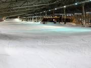 FIS afdaling met berghut