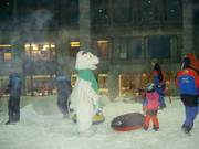 De ijsbeer bezoekt de kinderen