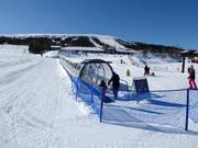 Tip voor de kleintjes 