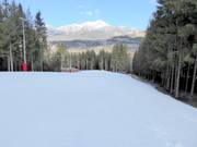 Brede piste Olimpia III