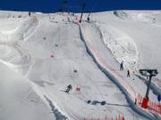 Racetrack Dantercepies