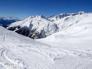 Freeridehellingen Brytnest-Grieschumma